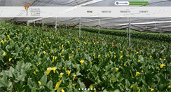 Desktop Screenshot of floresdealtagracia.com