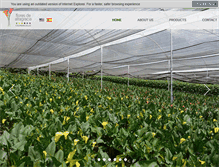 Tablet Screenshot of floresdealtagracia.com